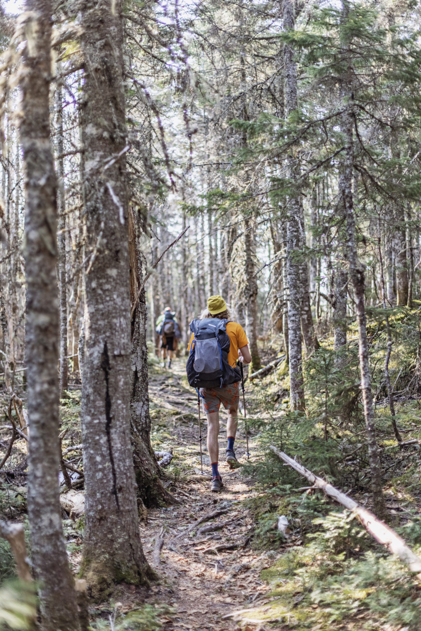 How Hiking Can Change Your Life